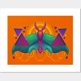 Lepidoptera Abstractus Posters and Art